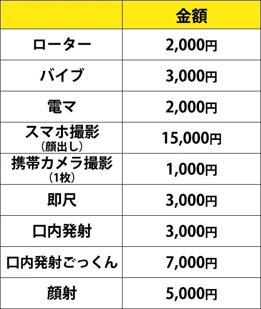 ローター2,000円から